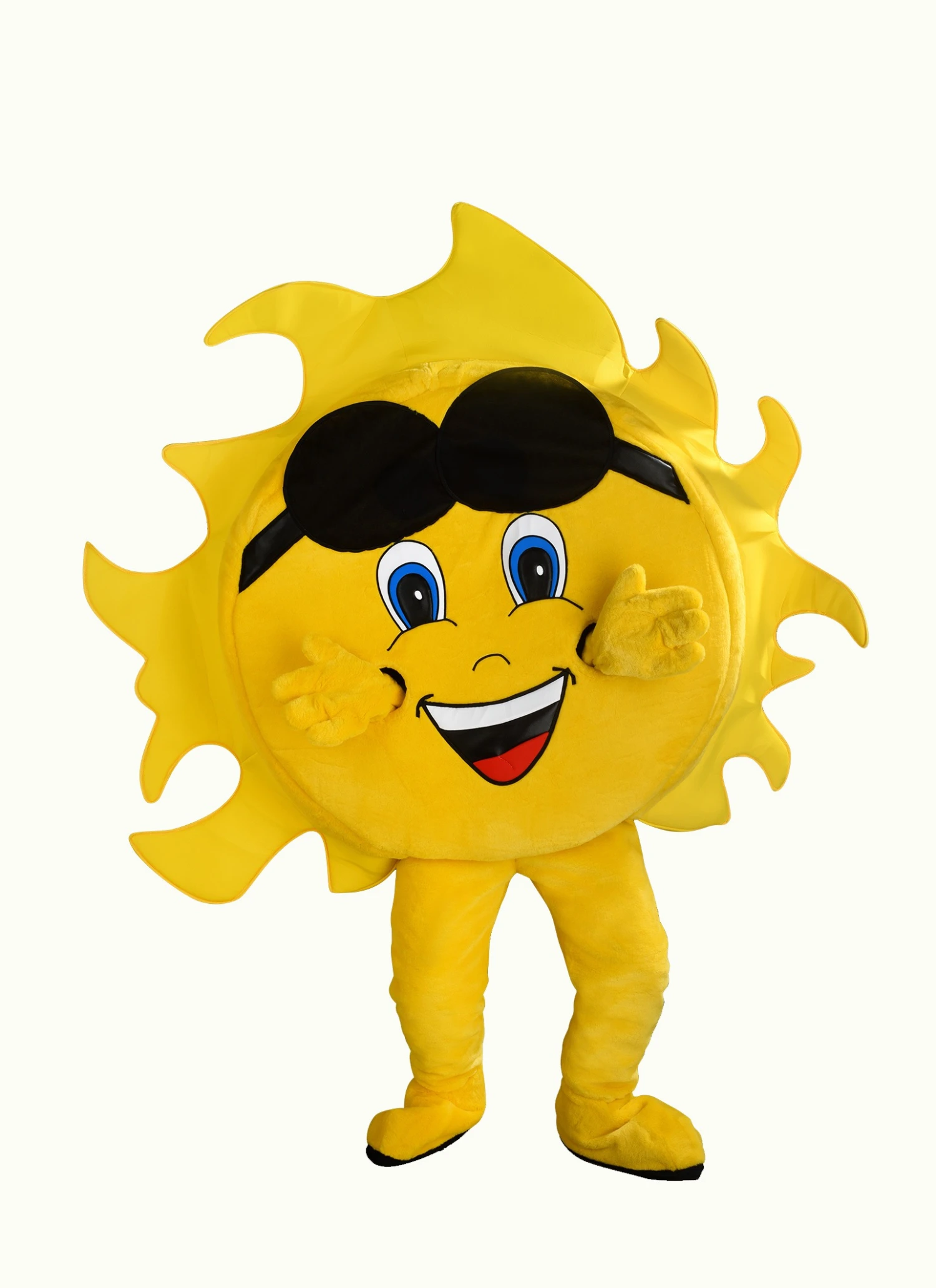 Zonnenpak – Evert De Zon 1 Zonnenpak – Evert De Zon