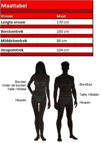 Abba Supertrooper Lady 2 Abba Supertrooper Lady - Afbeelding 2