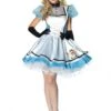 Alice Tea Time Dress