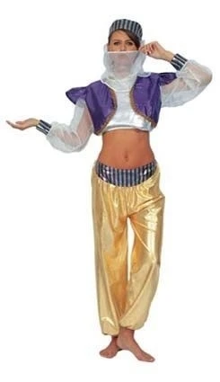 Aladina Harem Kostuum