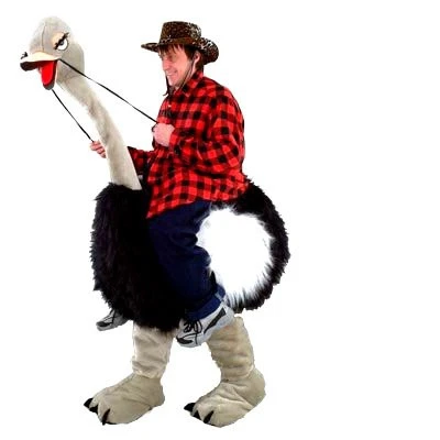 Struisvogelpak – Olivia De Struisvogel 6 Struisvogelpak – Olivia De Struisvogel - Afbeelding 6