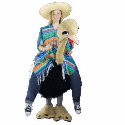 Struisvogelpak – Olivia De Struisvogel 8 Struisvogelpak – Olivia De Struisvogel -Halloween Korting Winkel Struisvolgelfilter1