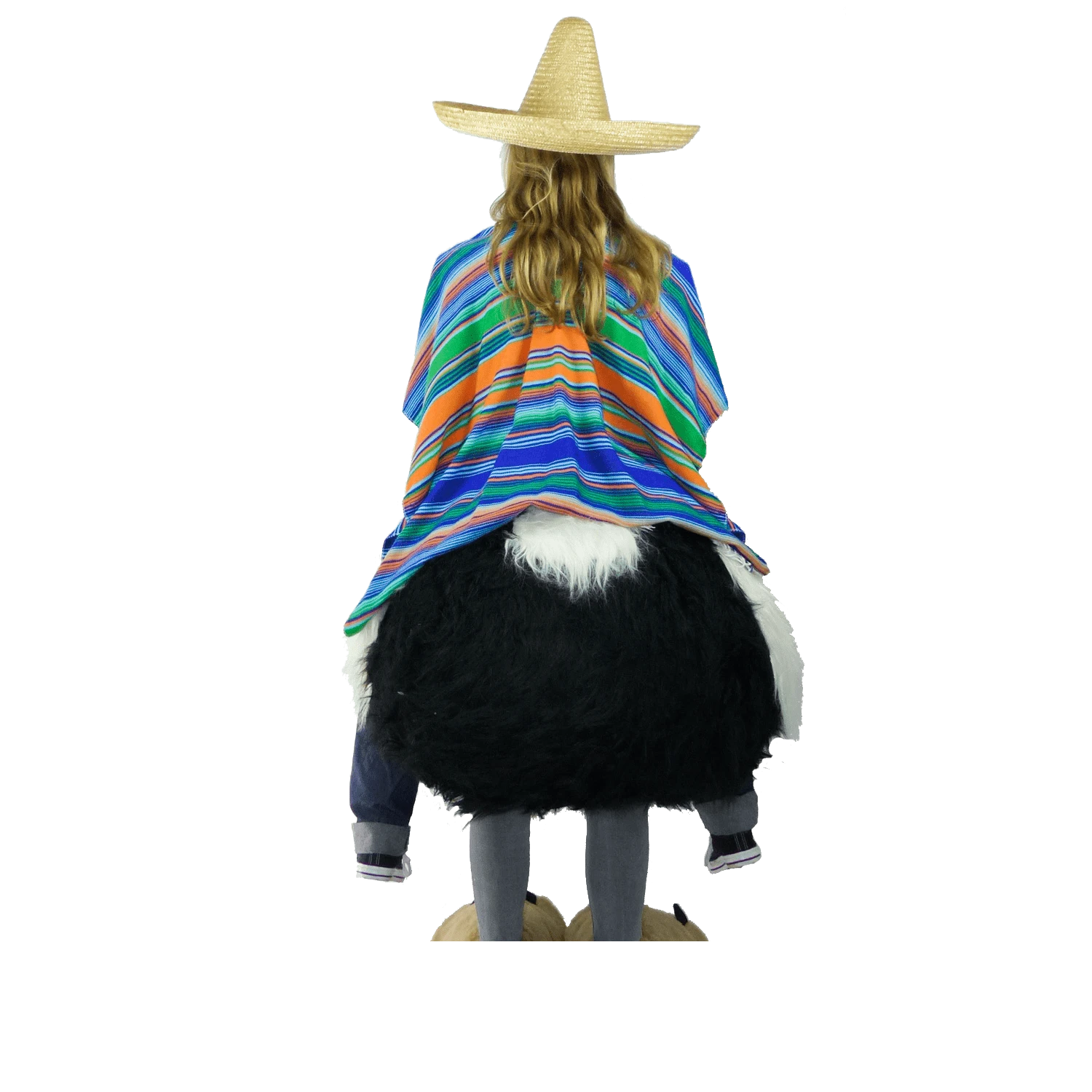 Struisvogelpak – Olivia De Struisvogel 5 Struisvogelpak – Olivia De Struisvogel - Afbeelding 5