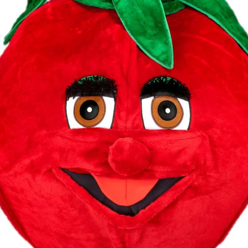 Tomatenpak – Tommie De Tomaat 2 Tomatenpak – Tommie De Tomaat - Afbeelding 2