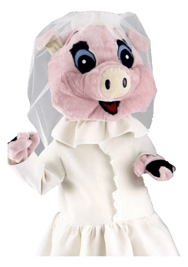 Varkenspak – Betty Het Varken 2 Varkenspak – Betty Het Varken - Afbeelding 2