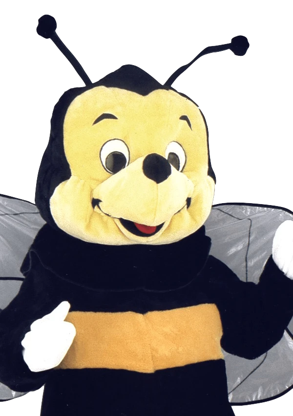 Bijenpak – Mathilde De Bij 2 Bijenpak – Mathilde De Bij - Afbeelding 2