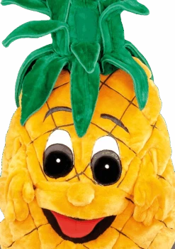 Ananaspak – Anna De Ananas 5 Ananaspak – Anna De Ananas -Halloween Korting Winkel mascotte ananas 1