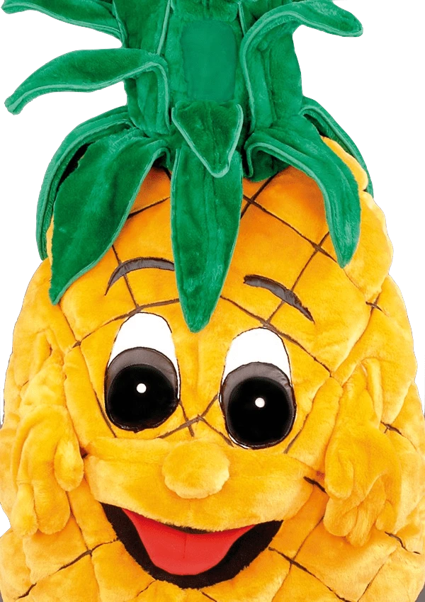 Ananaspak – Anna De Ananas 3 Ananaspak – Anna De Ananas - Afbeelding 3