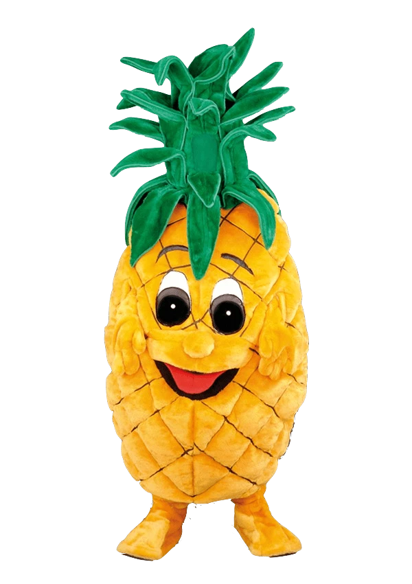 Ananaspak – Anna De Ananas 2 Ananaspak – Anna De Ananas - Afbeelding 2