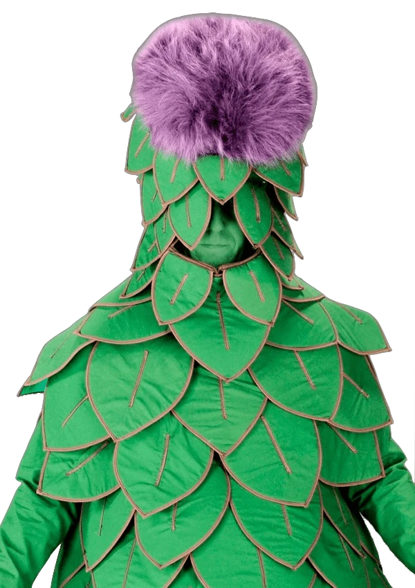 Artisjokpak – Aard De Artisjok 2 Artisjokpak – Aard De Artisjok - Afbeelding 2