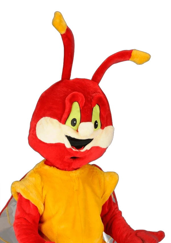 Krekelpak – Karel De Krekel 2 Krekelpak – Karel De Krekel - Afbeelding 2