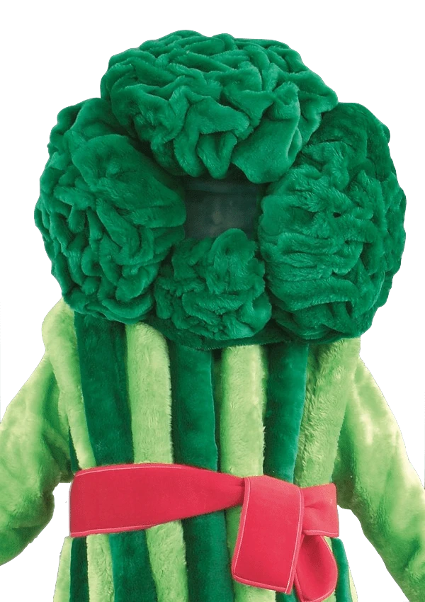 Broccolipak – Bundel De Broccoli 2 Broccolipak – Bundel De Broccoli - Afbeelding 2