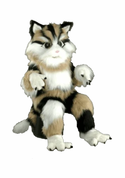 Kattenpak – Nilo De Kat