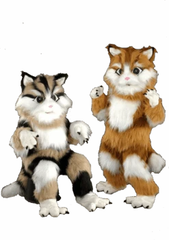 Kattenpak – Nilo De Kat 5 Kattenpak – Nilo De Kat -Halloween Korting Winkel mascotte chat roux 1e