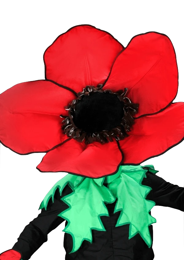 Bloemenpak – Madelief De Dansende Bloem 2 Bloemenpak – Madelief De Dansende Bloem - Afbeelding 2