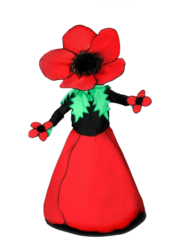 Bloemenpak – Madelief De Dansende Bloem 1 Bloemenpak – Madelief De Dansende Bloem