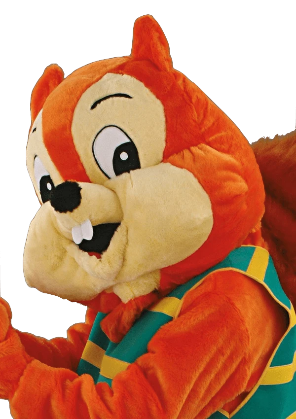 Eekhoornpak – Sandy De Eekhoorn 2 Eekhoornpak – Sandy De Eekhoorn - Afbeelding 2