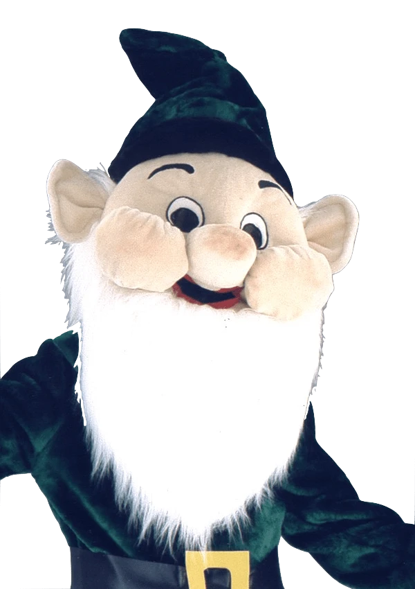 Dwergenpak – Tjeerd De Dwerg 2 Dwergenpak – Tjeerd De Dwerg - Afbeelding 2