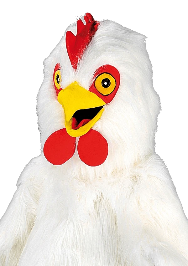 Kippenpak – Bertha De Witte Kip 2 Kippenpak – Bertha De Witte Kip - Afbeelding 2