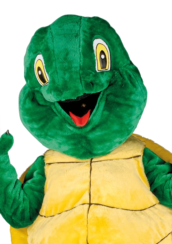 Schildpaddenpak – Leonardo De Schildpad 2 Schildpaddenpak – Leonardo De Schildpad - Afbeelding 2