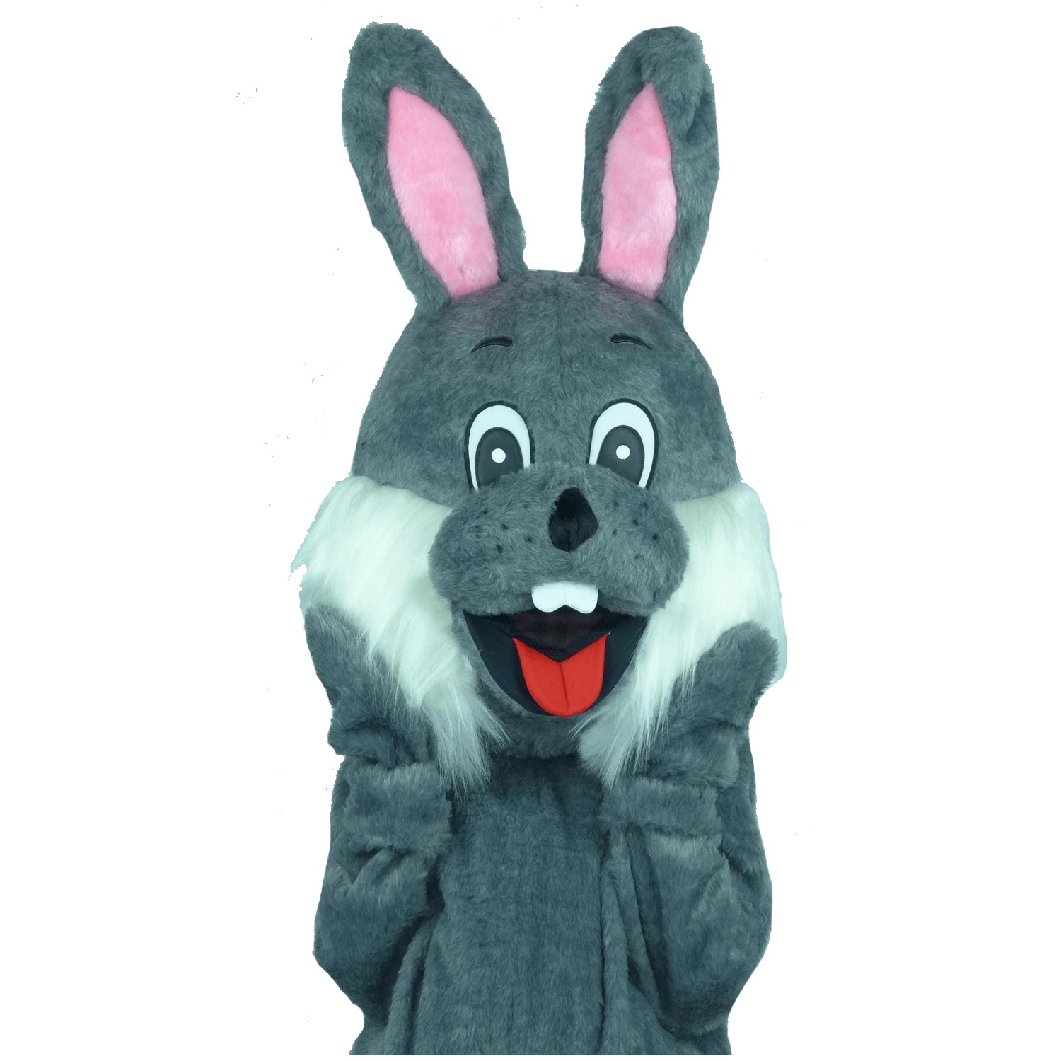 Paashaaspak – Menno De Paashaas (grijs) 5 Paashaaspak – Menno De Paashaas (grijs) - Afbeelding 5